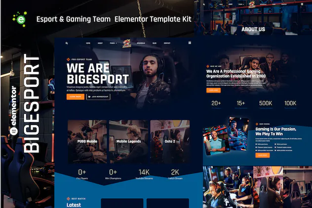 Bigesport - Esport - Gaming Team