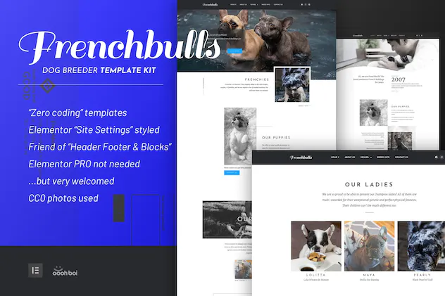 Frenchbulls - Dog Breeder