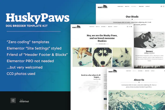 HuskyPaws - Dog Breeder