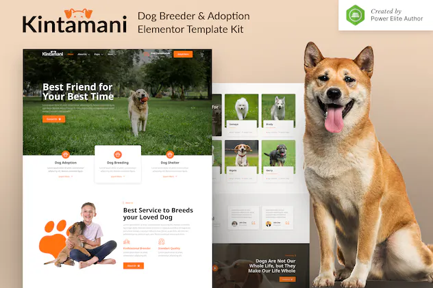 Kintamani  Dog Breeder - Adoption
