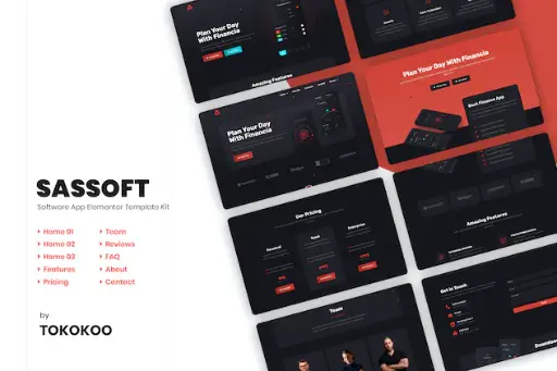 Sassoft - Mobile App - Fintech Startup