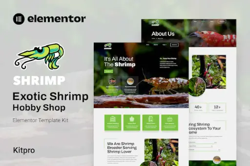 Shrimp - Aquarium - Hobby Shop