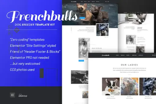 Frenchbulls - Dog Breeder