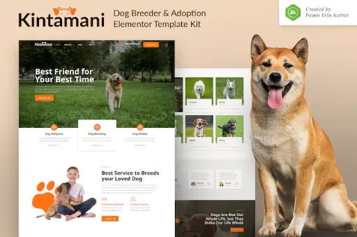 Kintamani  Dog Breeder - Adoption