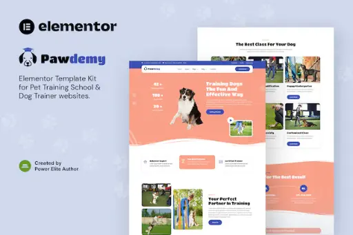 Pawdemy  Pet Training Academy